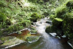 hebers ghyll july 7 2012 1 sm.jpg